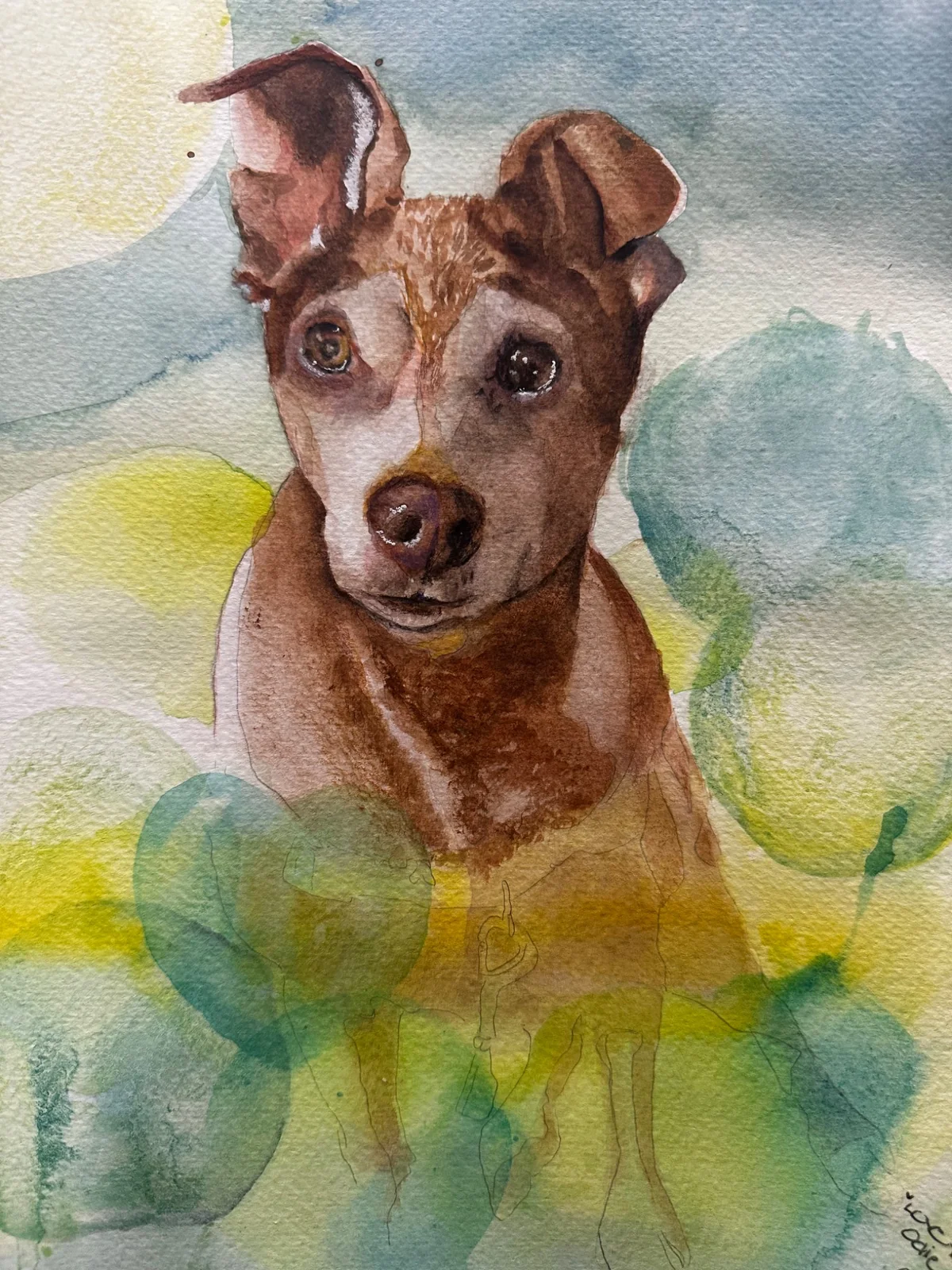 Odie by Cybil Souza